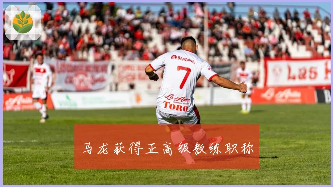 马龙获得正高级教练职称