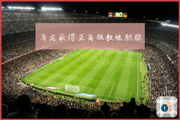 马龙获得正高级教练职称