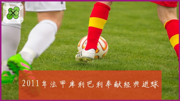 2011年法甲库利巴利奉献经典进球